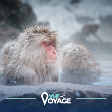 Unconventional Winter Escapes: 14 Destinations to Travel