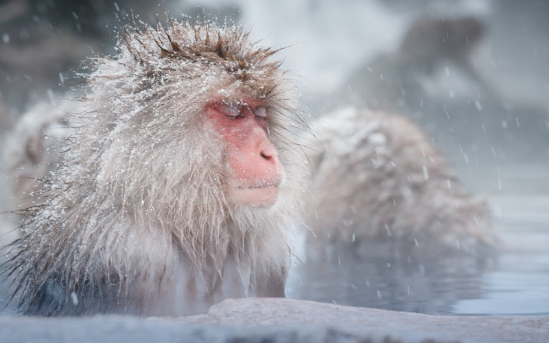 Unconventional Winter Escapes: 14 Destinations to Travel