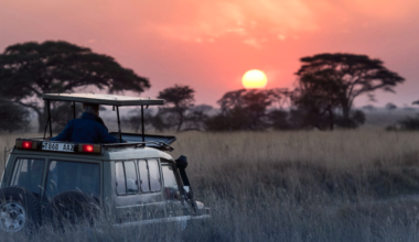 South Africa A Journey Through Diverse Seasons and Experiences