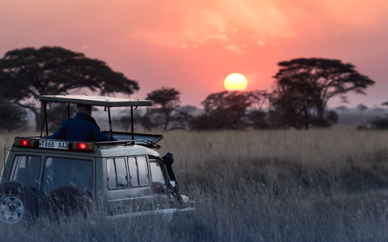 South Africa A Journey Through Diverse Seasons and Experiences