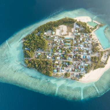 aerial view of city buildings near body of water during daytime